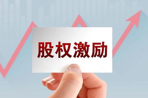 股权激励整体解决方案