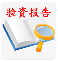 验资报告