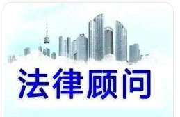 法律顾问1980元起