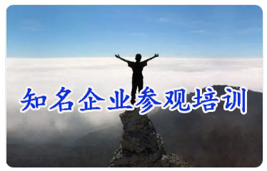 知名企业参观培训